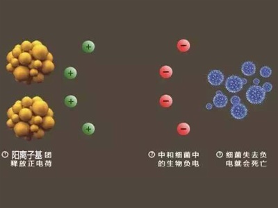 涂料加防腐殺菌劑還會罐內變質的原因